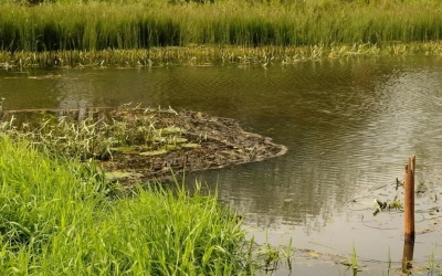Загрязнение реки Вязьмы обсудили на комиссии по ЧС