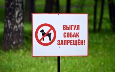 Информация для владельцев собак
